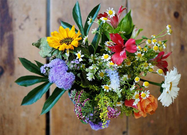 Photo of a bunch of flowers from above